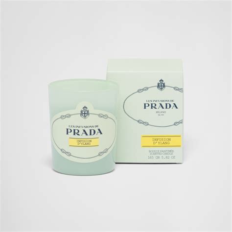 prada black candle|Prada infusion d'ylang.